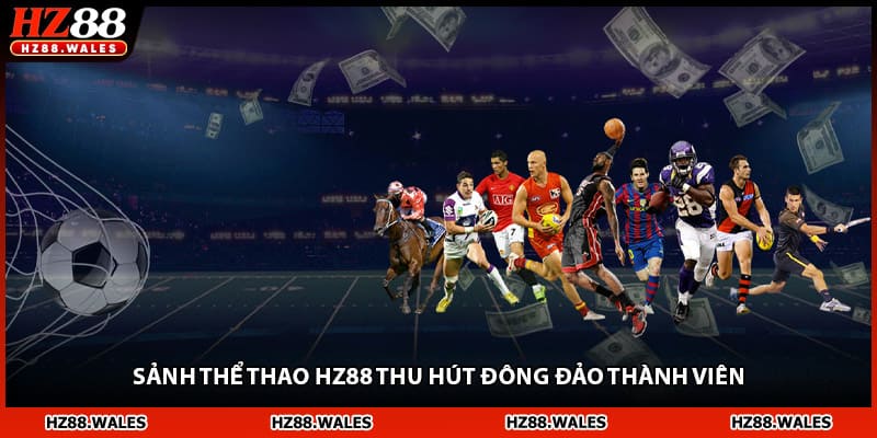 Sảnh thể thao HZ88 thu hút đông đảo thành viên